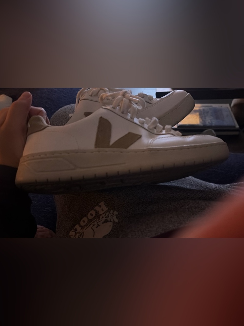 Veja White Sneakers with Beige Suede Accents